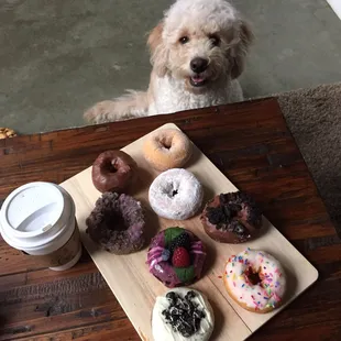 All but the berry and white Oreo from petit!