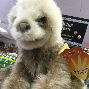 Everyone needs a baby sloth puppet.