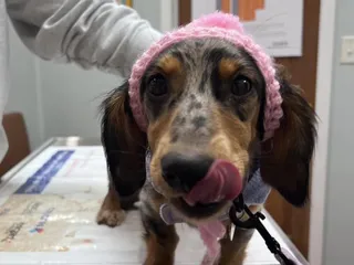 Fayette Veterinary Clinic