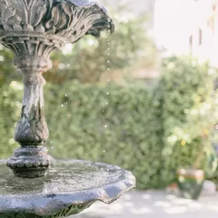a fountain in a garden