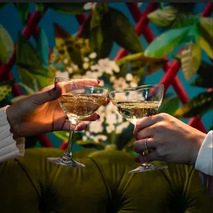 two people toasting wine glasses