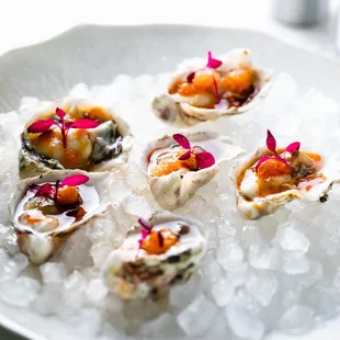 oysters and mussels, mussels, food, oysters, shellfish