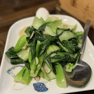 shellfish, oysters, mussels, food, oysters and mussels