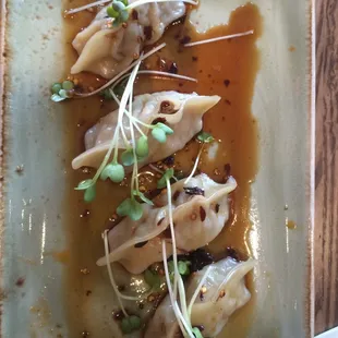 Pan Fried Pork Dumpling