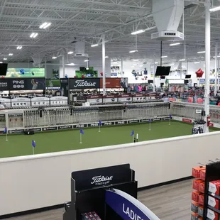Putting green + putter selection