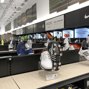 Large shoe section