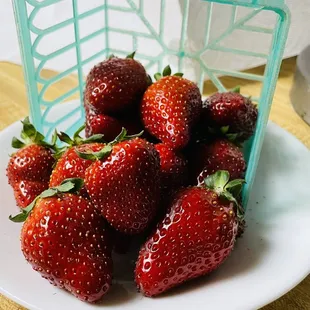 First of the season!