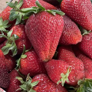 Vine ripen strawberries!