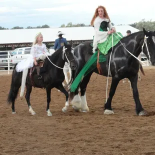 Peruvian and Shire horse Sidesaddle performance