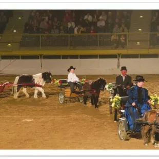 Pony Driving Drill team