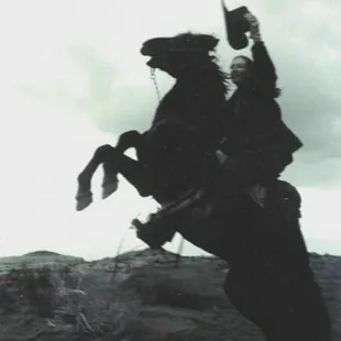 Photo shoot - Peruvian horse in Monument Valley UT