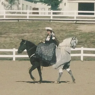 "Push me, Pull me" Peruvian horse costume