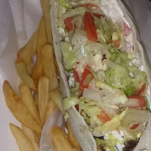 Lackluster falafel and fries combo.