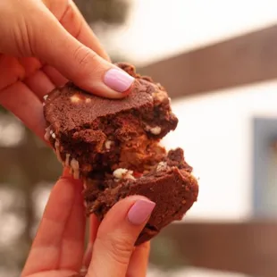 a hand holding a chocolate cookie