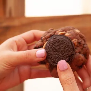 a hand holding a chocolate cookie