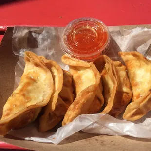 Teriyaki Chicken Dumplings