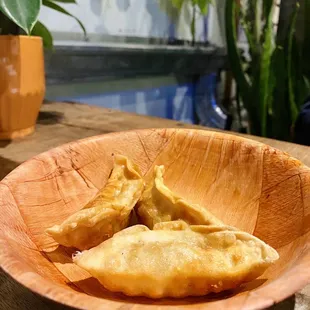 Chicken Dumplings