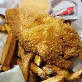 Catfish and fries Taken 01.30.24