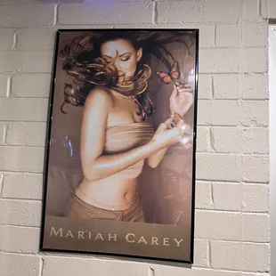 a poster of a woman in a bikini