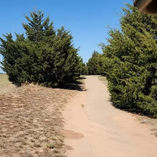 Trees overtaking the cart path.  Bunkers have weeds growing in them and haven't been turned in I don't know how long.