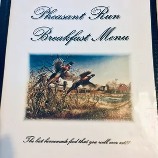 Menu photos with brighter background.