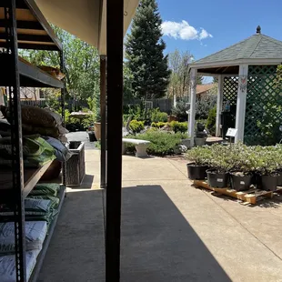 a view of the back yard