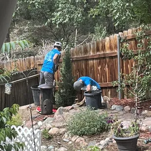 The Phelan Gardens team planting my tree