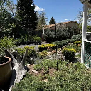 a view of the front yard