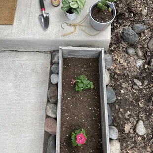 a flower bed with plants in it