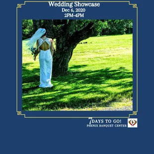 WEDDING SHOWCASE. 12.6.20