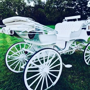 Wedding Royal Chariot.