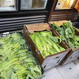 Veggies
