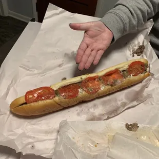 Cheesesteak with tomatoes on top.