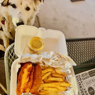 child&apos;s chicken fingers with fries