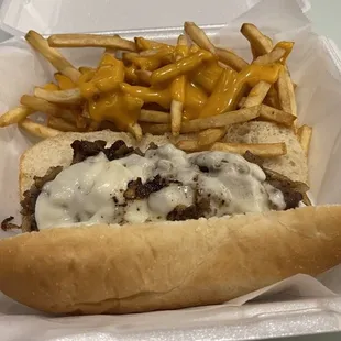 a hot dog and french fries