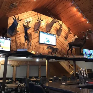 The decor is awesome!