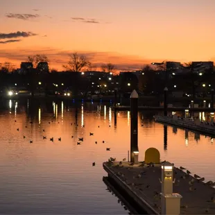 View from the restaurant