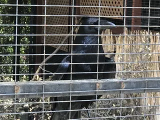 Folsom City Lions Park