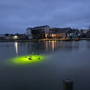 Copano bay Rockport tx