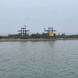 Herring Bird roosting area island close to goose island state park