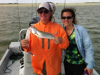 Phlips Trips Guide Service