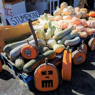 Stumpkins and gourds