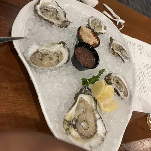 Oysters
