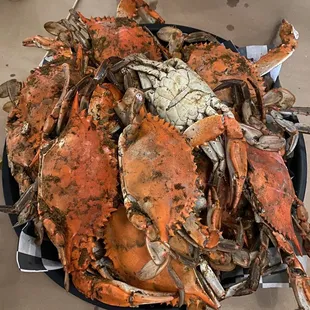 Blue crab!