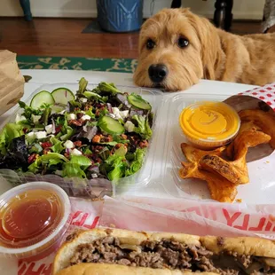 Big Harvest Traditional Cheesesteak Cheese Fries