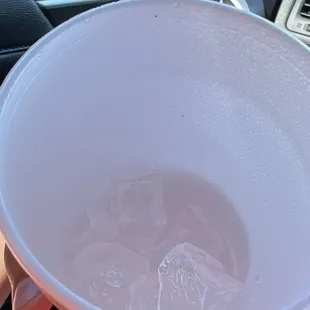Dead ant in my drink.
