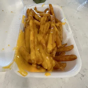 Cheese fries