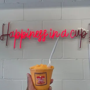 a hand holding a cup of ice cream