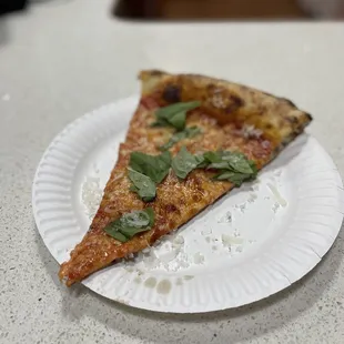 a slice of pizza on a paper plate