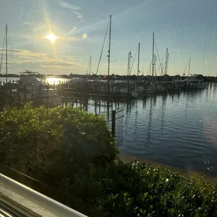 View